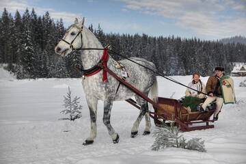 Фото номера Шале (для 6 взрослых) Шале Sun&amp;Ski Maciejówka г. Бялка-Татшаньска 262